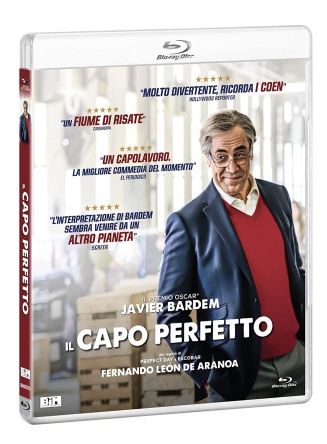 Locandina italiana DVD e BLU RAY Il capo perfetto 